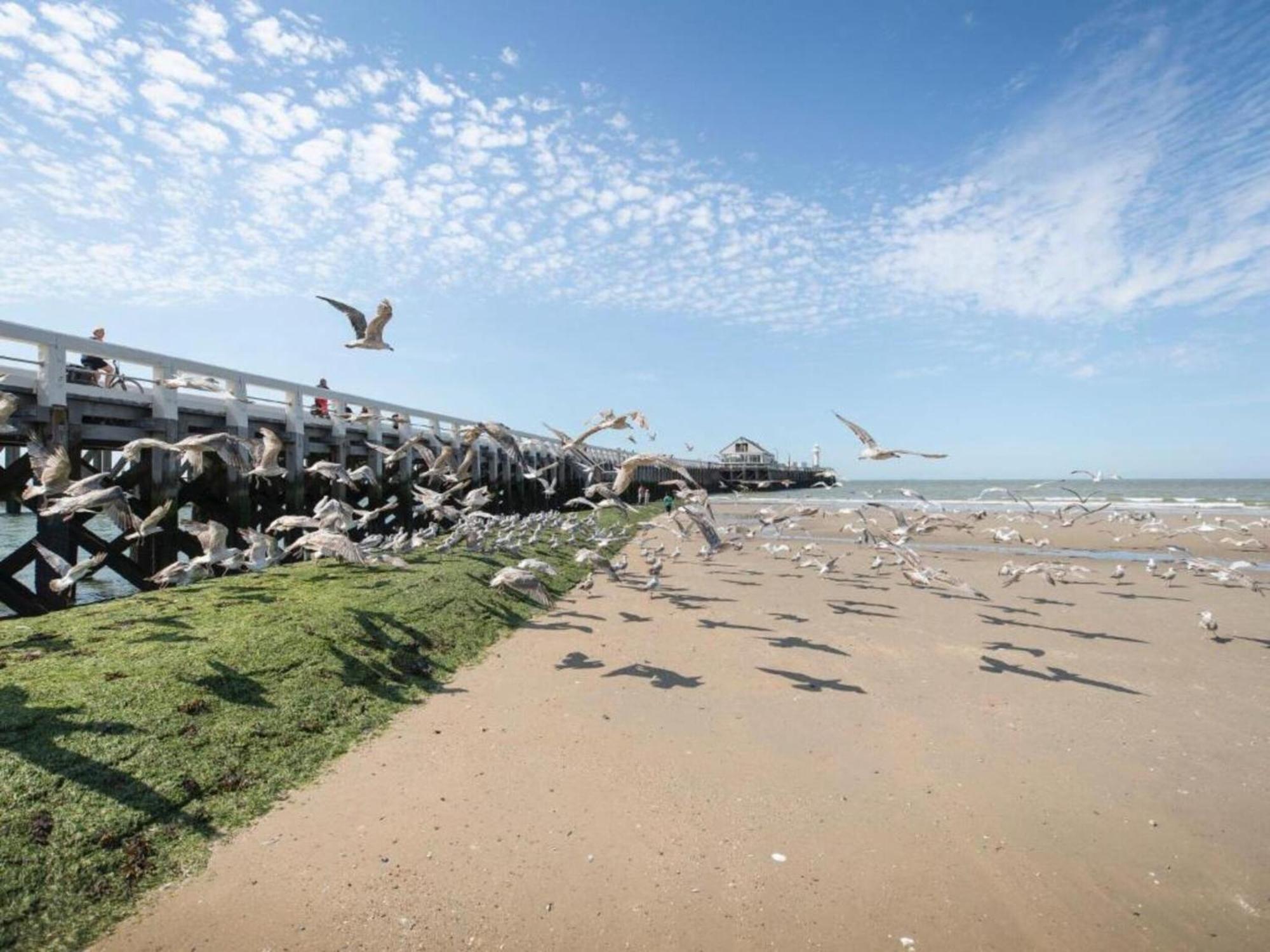 Beau Rivage In Blankenberge